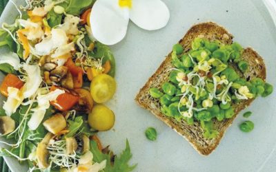 Smashed Peas on Toast