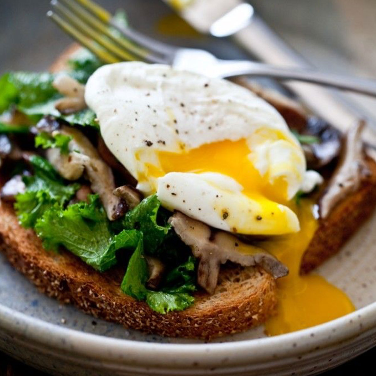 Mushrooms, Egg, & Wilted Kale Toast Vitamin Sea Collective